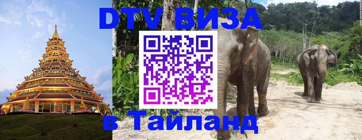 Оформление DTV визы под ключ: стоимость и тарифы, только загранпаспорт - 19.11.2025 